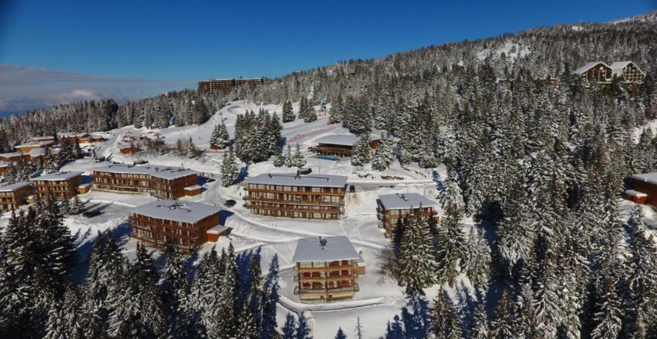 Le Cocon 4 Saisons A Chamrousse 1700 - Droseras A14 - Les Villages Du Bachat Exterior photo